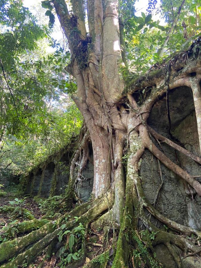 Casa Da Si Hostel Ubatuba Dış mekan fotoğraf