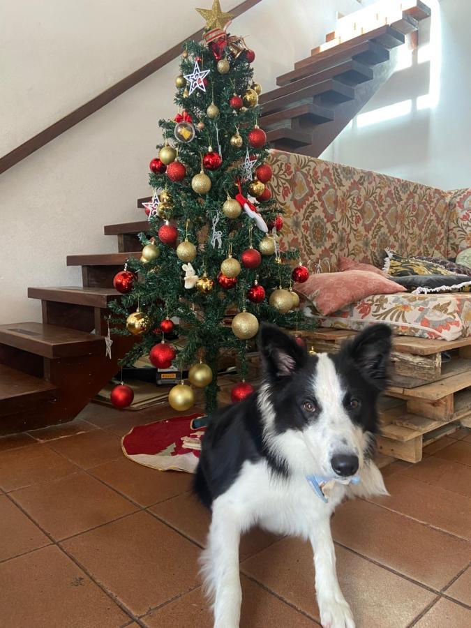 Casa Da Si Hostel Ubatuba Dış mekan fotoğraf